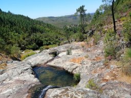 2021-06-05 e 6 FORMEX 1